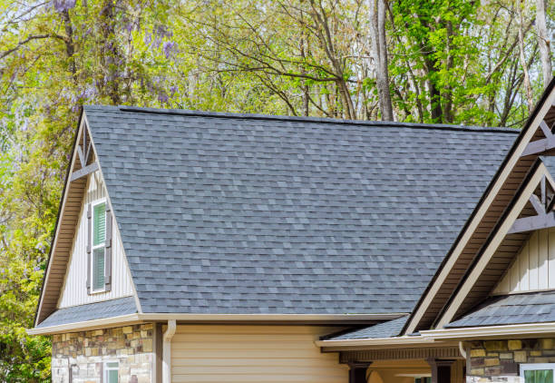 Best Skylight Installation and Repair  in Sulphur Springs, AR